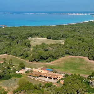 Ses Arenes , Colonia de Sant Jordi Spanje